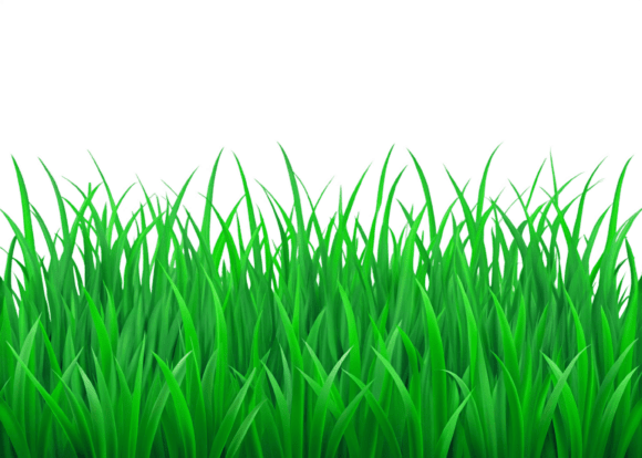 Discover the Versatility of Watercolor 3D Cute Grass PNG Free File